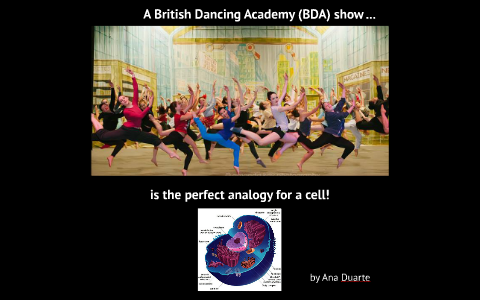 The British Dancing Academy Dance Shows are the Perfect Analogy for a