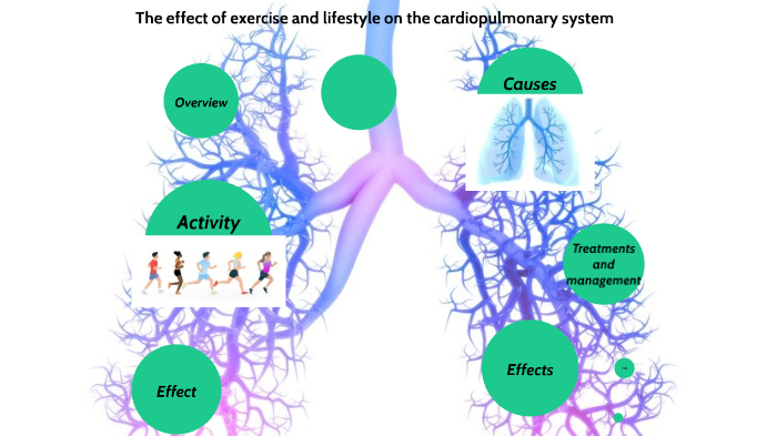 The effect of exercise and lifestyle on the cardiopulmonary system by ...