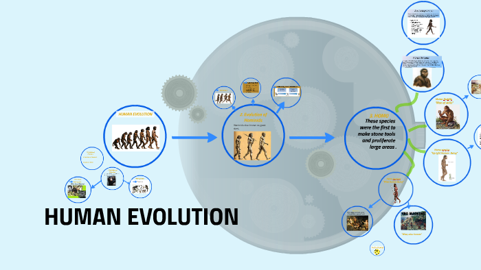 HUMAN EVOLUTION by flipzery zen on Prezi
