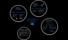 Chemical Equilibrium And Kidney Stones By William Dasilva