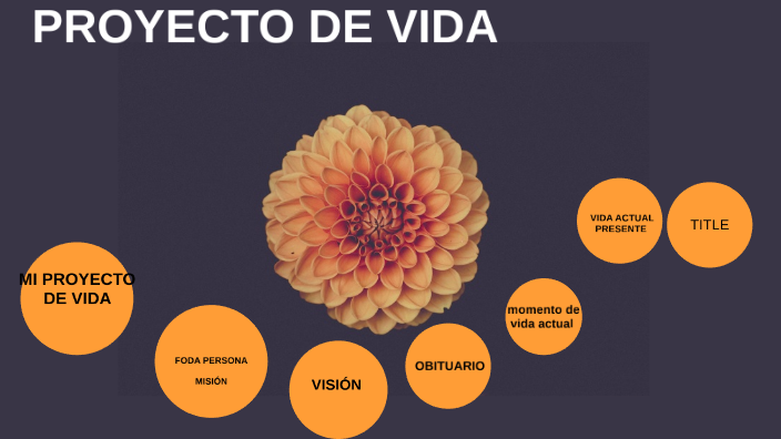 PROYECTO DE VIDA by Favi Hernandez on Prezi