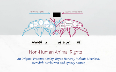 Non-Human Animal Rights by Bryan H