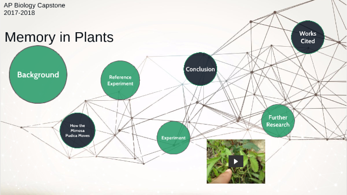 capstone project about plants