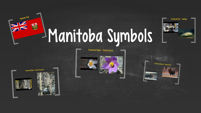 Manitoba Symbols by Duncan Telford