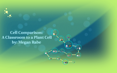 Cell Comparison: A Classroom to a Plant Cell by Megan Rabe` on Prezi Next