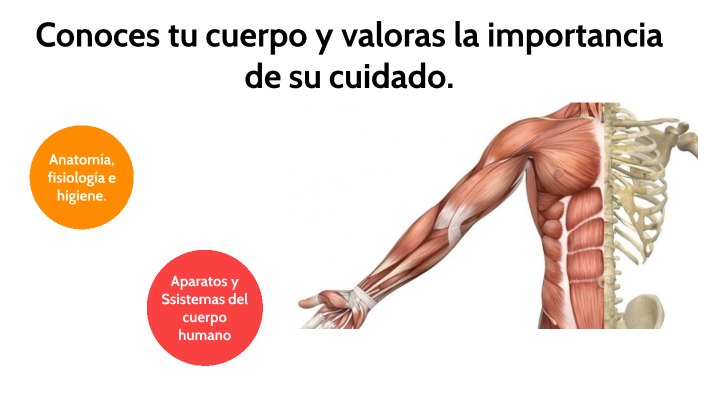 La Importancia De Conocer Nuestro Cuerpo
