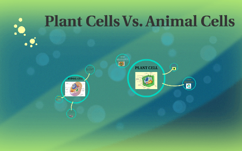 Plant Cells Vs. Animal Cells by Aaryanna chavez on Prezi