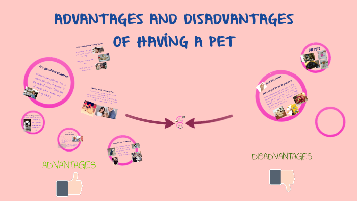 advantages and disadvantages of having pets essay