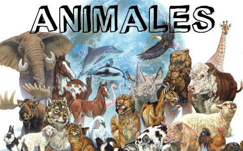 LOS ANIMALES by Camila Lemus Prada on Prezi