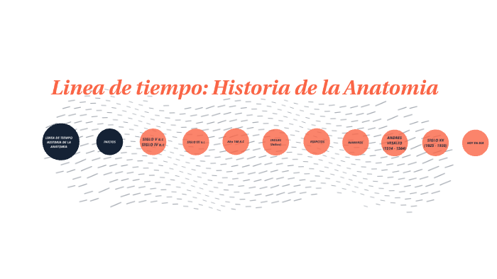 Linea de Tiempo: Historia de la Anatomia by Anderson Miguel Villegas