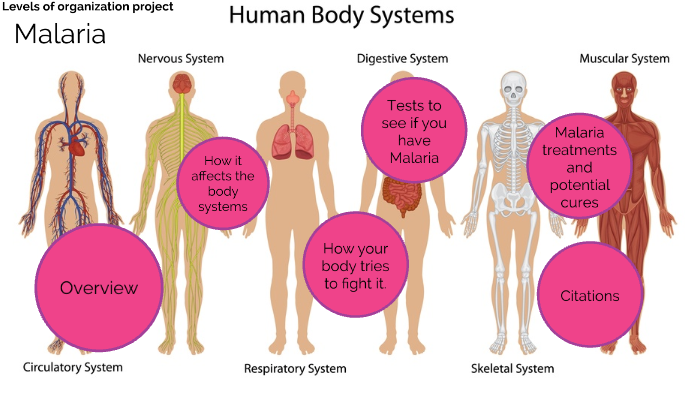 disease-report-by-isaac-kim