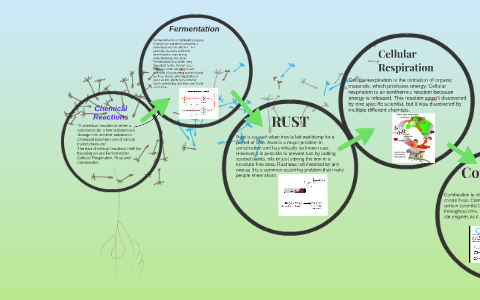 Chemical Reactions by elliot rosado on Prezi