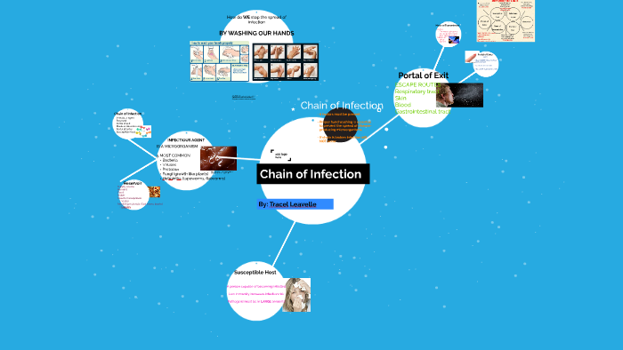 Chain of Infection by Tracel Holly on Prezi
