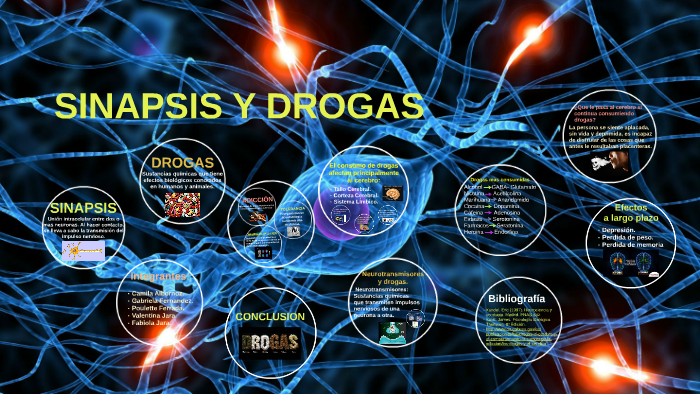 sinapsis y drogas by Gabriela Fernandez on Prezi