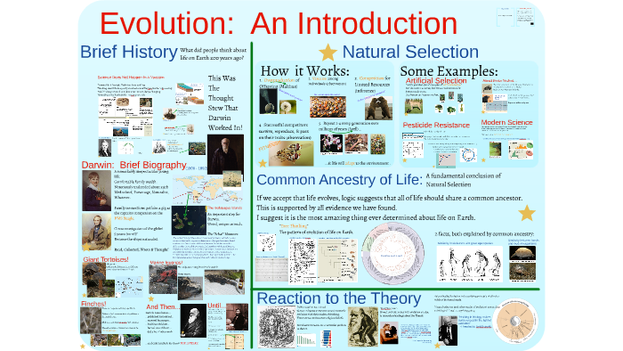 Evolution 1: Introduction to Evolution by Alexander Aschenbach on Prezi