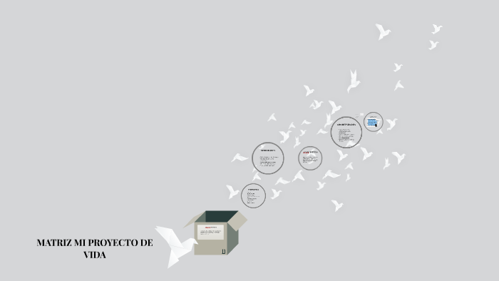 MATRIZ MI PROYECTO DE VIDA by angie rojas on Prezi