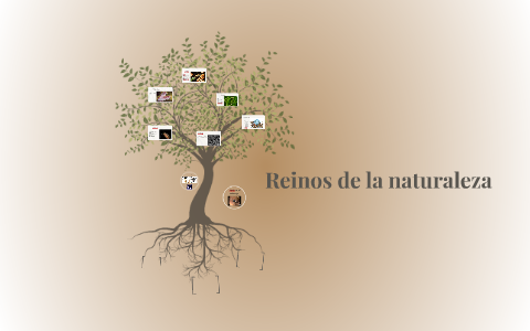 Reinos de la naturaleza by Gonza Brizuela on Prezi
