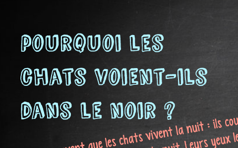 comment les chats voient ils dans le noir
