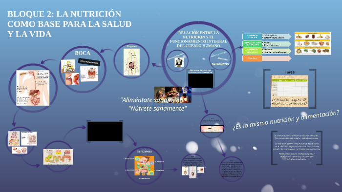 BLOQUE 2: LA NUTRICIÓN COMO BASE PARA LA SALUD Y LA VIDA by Lucy ...