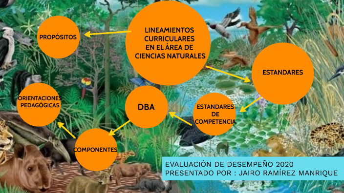 REFERENTES Y ESTRUCTURA CURRICULAR DEL ÁREA DE CIENCIAS NATURALES by ...