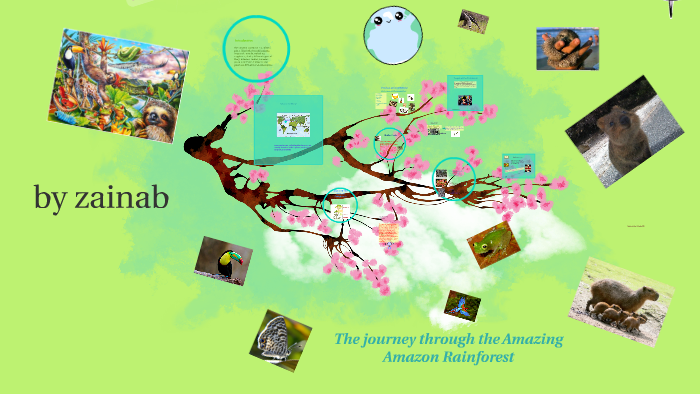 The Amazing Amazon Rainforest by Botanic Primary on Prezi