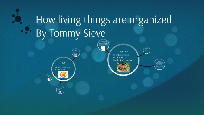 how-living-things-are-organized-by-tommy-s-on-prezi-next