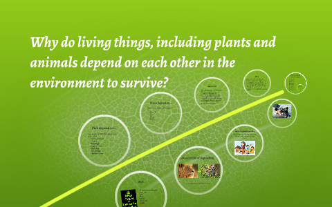 Why do living things, including plants and animals depend on by Kara J