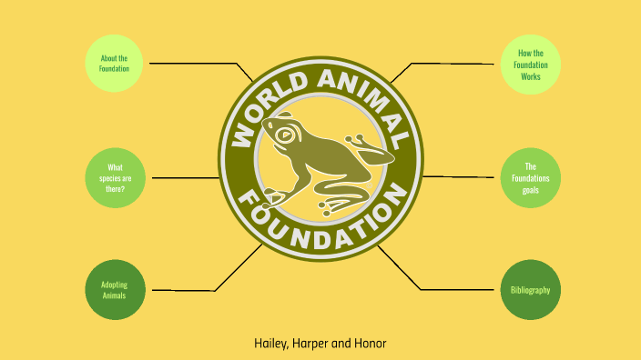 World Animal Foundation by Harper Thorpe