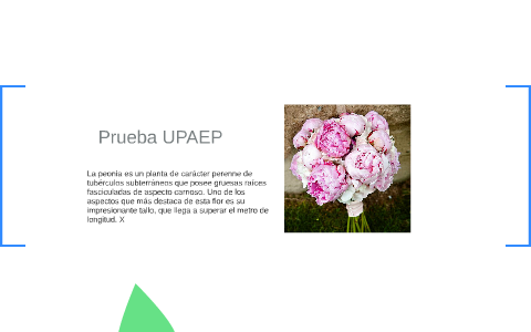 Prueba UPAEP by Ana Lucia Navarro on Prezi