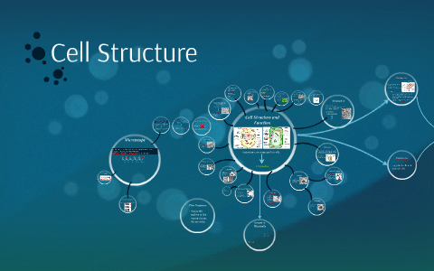 Cell Structure by Carolina Barroso on Prezi
