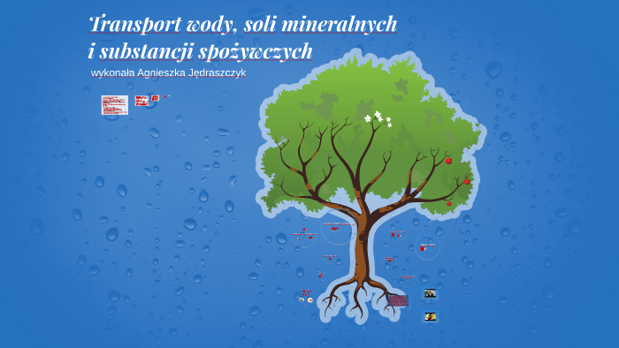 Transport wody, soli mineralnych by Agnieszka Jędraszczyk on Prezi