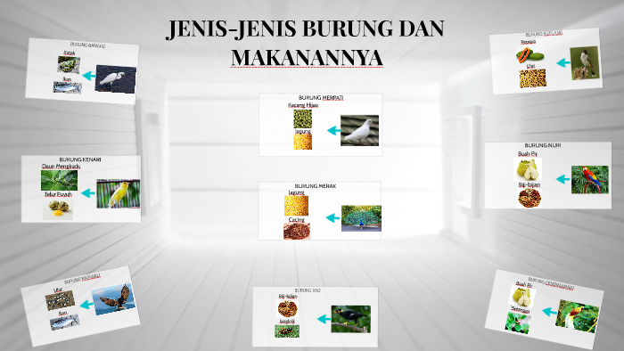 Jenis Jenis Burung Dan Makanannya By M Adhitya Ramadhan On Prezi