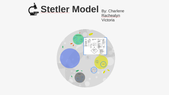 5 Phases Of Stetler Model