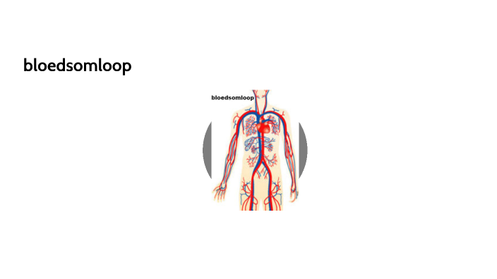 bloedsomloop by nimrod rousseau on Prezi