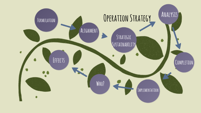 The Process of Operation Strategy - Formulation and Implementation by ...