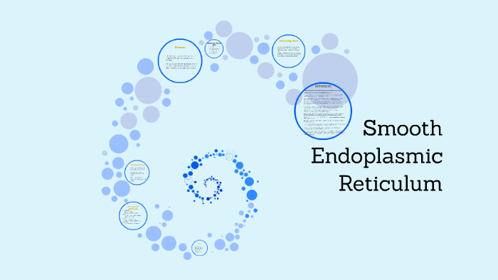 Smooth Endoplasmic Reticulum By Zoe Shepherd