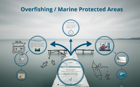 Overfishing/ Marine Protected Areas By Stefan Terziev