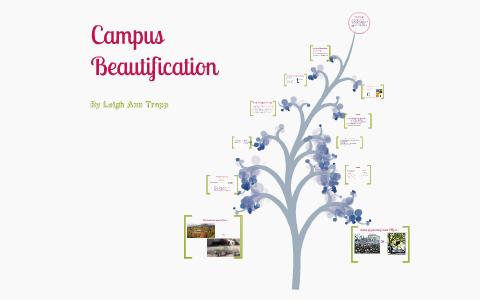 beautification of college campus essay