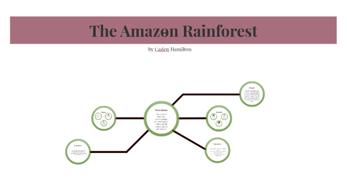 The Amazon Rainforest by Caden Hamilton on Prezi