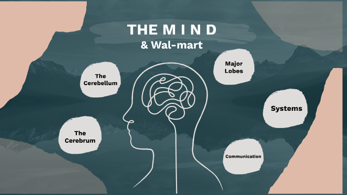 Brain Metaphor - Walmart by Varun Narra on Prezi