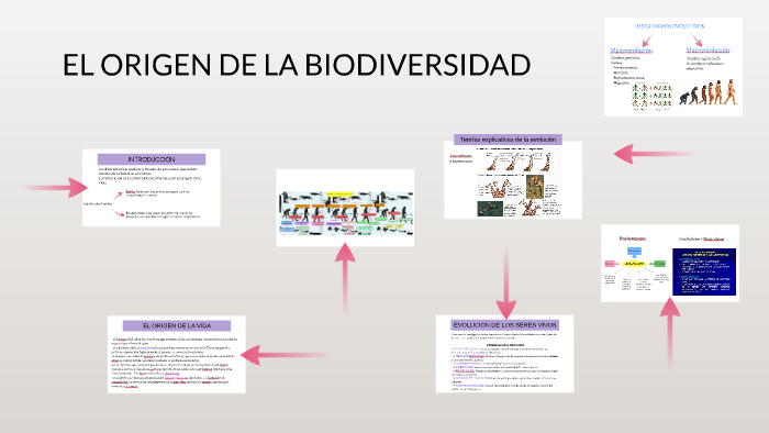 EL ORIGEN DE LA BIODIVERSIDAD by Claudia Cabotá on Prezi