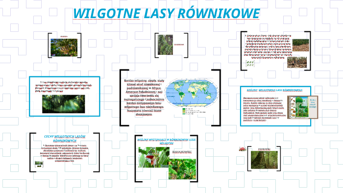 WILGOTNE LASY RÓWNIKOWE by Emilia Weremzuk on Prezi