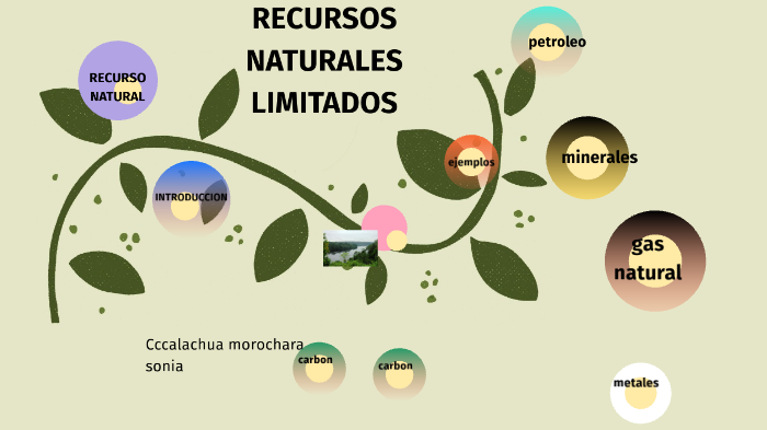 Los Recursos Naturales Son Limitados O Ilimitados