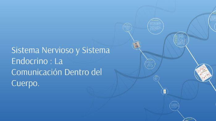 Sistema Nervioso y Sistema Endocrino : La Comunicacion Dentr by Melanie ...