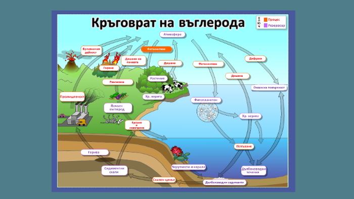 Кръговрат на въглерода by alexander georgiev on Prezi