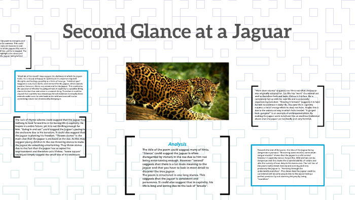 the jaguar poem analysis