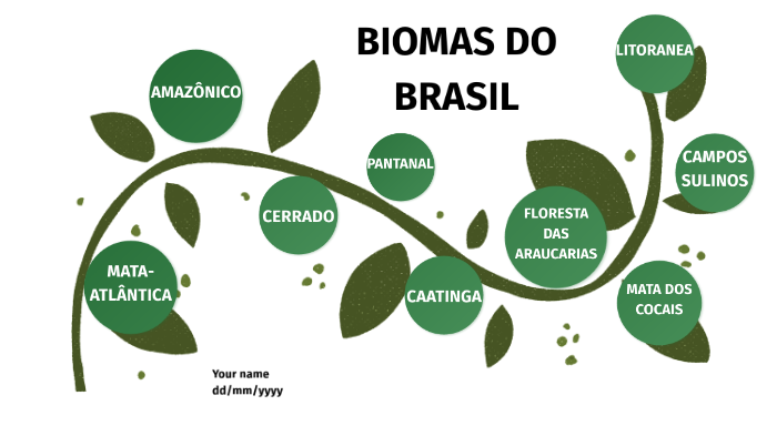 BIOMAS BRASILEIROS by Stefhanie souza on Prezi