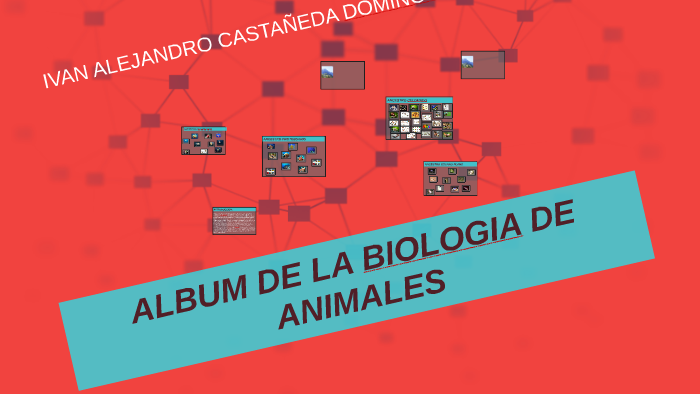 ALBUM DE LA BIOLOGIA DE ANIMALES by victor barrera on Prezi