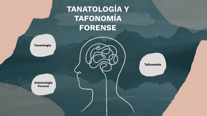 Tanatología Y Tafonomía Forense By Jafet Villanueva On Prezi 8148