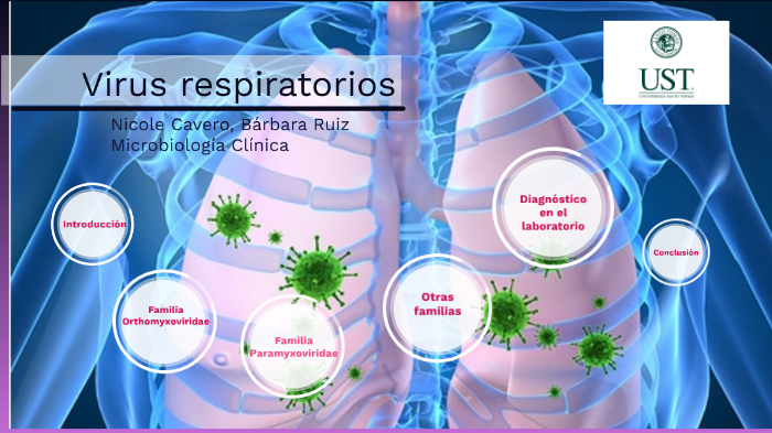 Virus respiratorios by barbara ruiz on Prezi